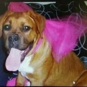 Meet your Posher, Brenda